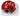 Rob Gronkowski New England Patriots Signed Autographed Flash Speed Mini Helmet PAAS COA
