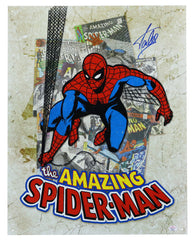 Stan Lee Signed Autographed 12.5" x 16" The Amazing Spider Man Retro Metal Tin Sign PAAS COA