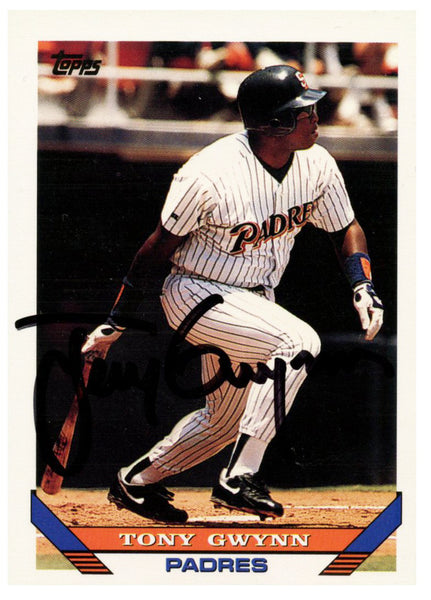 Lot Detail - 1993 Tony Gwynn San Diego Padres Game-Used & Twice