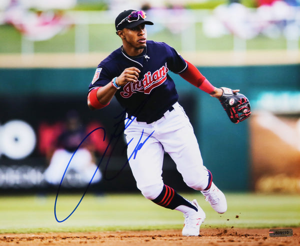 Francisco Lindor Autographed Framed Indians Jersey - The Stadium