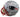 New England Patriots 2016 Super Bowl Champions Team Signed Autographed Riddell Full Size NFL Replica Helmet PAAS Letter COA Brady