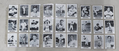 1977 Renata Galasso TCMA Series 1 Complete 45 Card Set - Mantle, Mays, Clemente