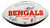 Cincinnati Bengals 2015 Team Signed Autographed White Panel Logo Football Authenticated Ink COA Dalton Green