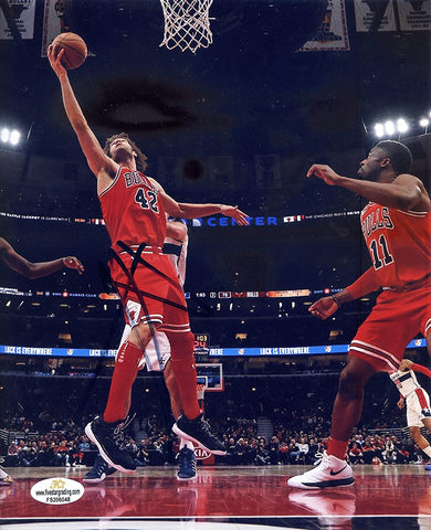 Robin Lopez Chicago Bulls Signed Autographed 8" x 10" Photo