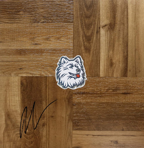 Andre Drummond Connecticut Huskies Signed Autographed Basketball Floorboard