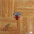 Taj Gibson Chicago Bulls Signed Autographed Basketball Floorboard JSA COA