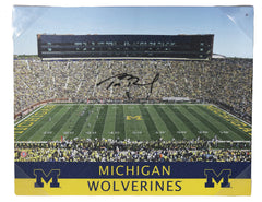 Tom Brady Michigan Wolverines Signed Autographed 20" x 16" Canvas Authenticated Ink COA