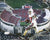 Dustin Fox Ohio State Buckeyes Signed Autographed 8" x 10" Stadium Photo Five Star Grading COA