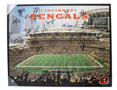 Cincinnati Bengals 2013 Team Signed Autographed 28" x 22" Canvas Authenticated Ink COA - Green Dalton